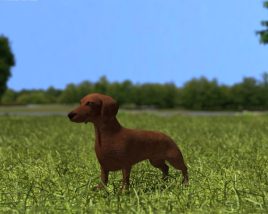 Dachshund Low Poly 3D model