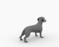 Dachshund Low Poly 3d model