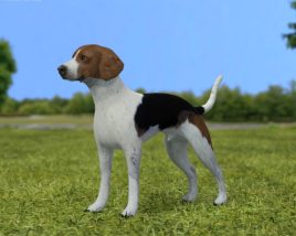 English Foxhound Low Poly 3D model