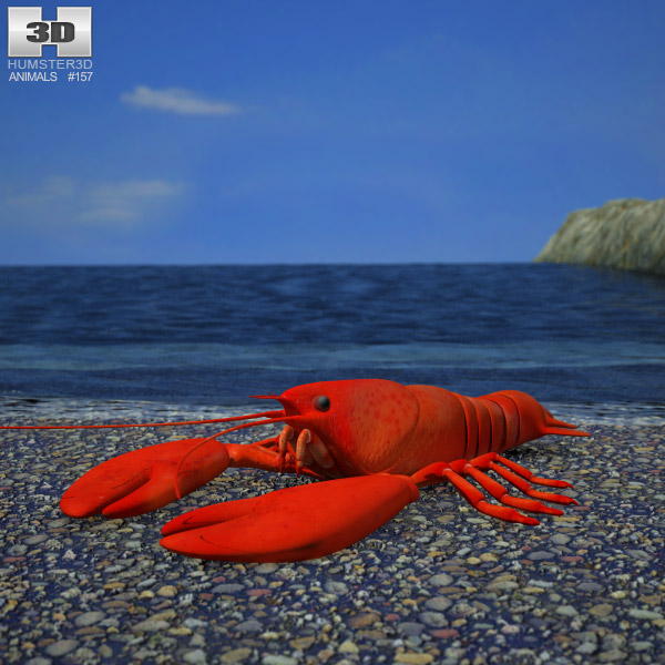 Lobster Low Poly 3D-Modell