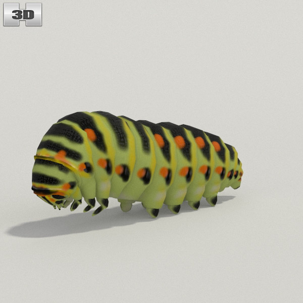 Caterpillar Low Poly 3D model
