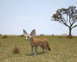 Fennec Low Poly 3D-Modell