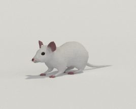 Mouse White Low Poly 3D-Modell