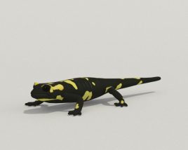 Salamander Low Poly 3D model