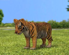 Tiger kitten Low Poly 3D model