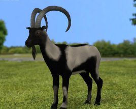 Wild Goat Low Poly 3D модель