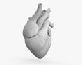Серце 3D модель