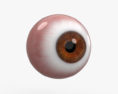 Human Eye 3d model