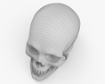 頭蓋骨 3Dモデル