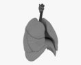 人間の呼吸器系 3Dモデル