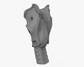 Larynx 3D-Modell