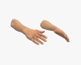 male hands 3d model