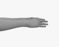 Mani maschili Modello 3D