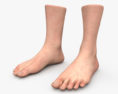 Чоловічі ноги 3D модель
