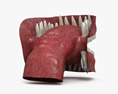 Human Mouth 3d model