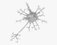 神經元 3D模型
