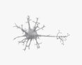 神經元 3D模型
