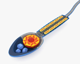 Sperm Cell 3D model