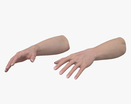 Weibliche Hände 3D-Modell