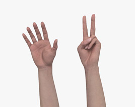 Female Hands Peace Gesture 3D model