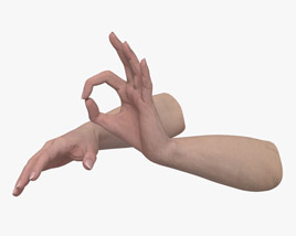 Female Hands Ok Sign Modelo 3D