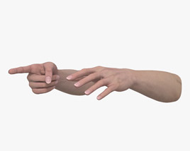 Female Hands Finger Point 3D model