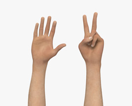 Male Hands Peace Gesture Modèle 3D