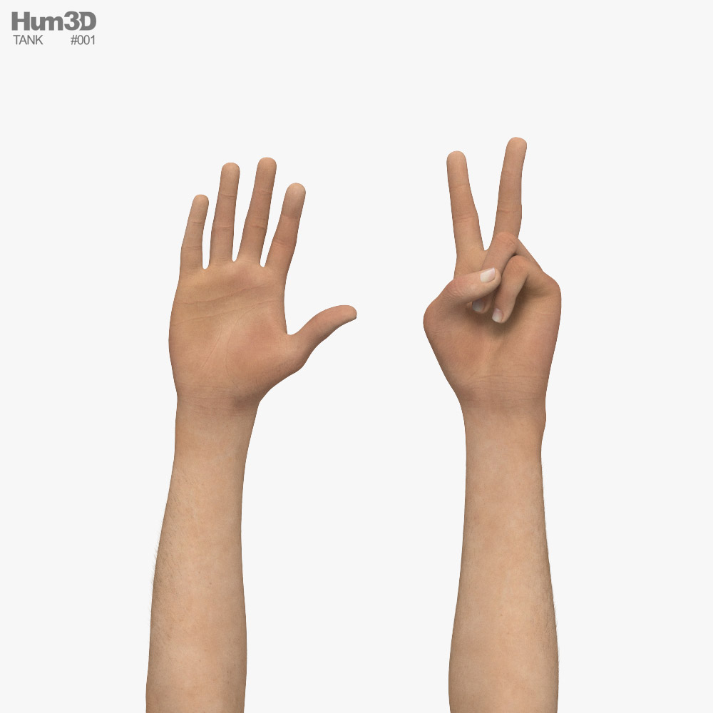 Male Hands Peace Gesture Modelo 3D