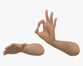 Male Hands Ok Sign Modello 3D