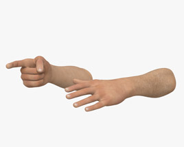 Male Hands Finger Point 3D model