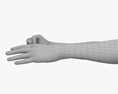 Male Hands Fist 3d model