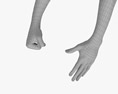 Male Hands Fist Modello 3D