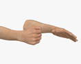 Male Hands Fist Modello 3D