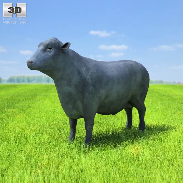 Angus Bull Low Poly 3d model
