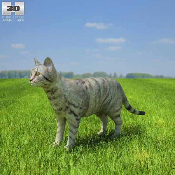 Cat Low Poly Modello 3D