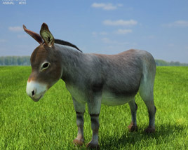 Donkey Low Poly Modelo 3d