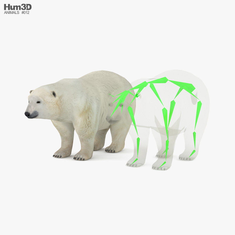 Polar Bear Low Poly Rigged 3D model