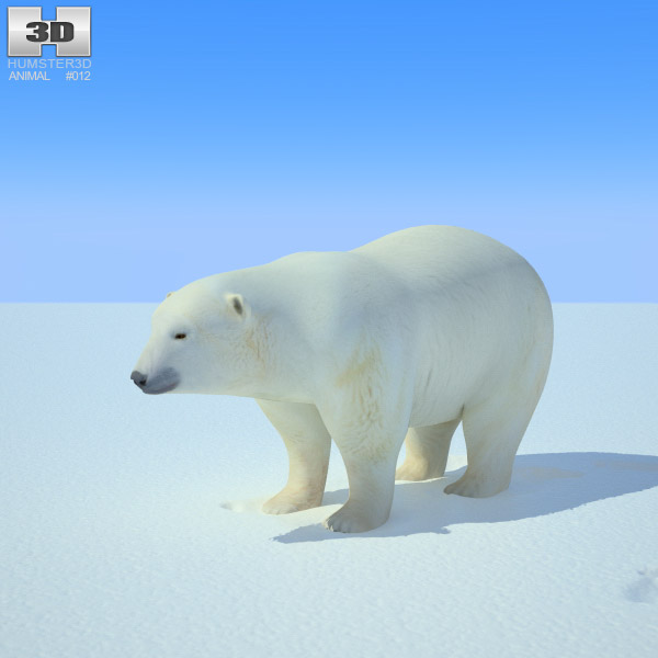 Polar Bear Low Poly 3D model
