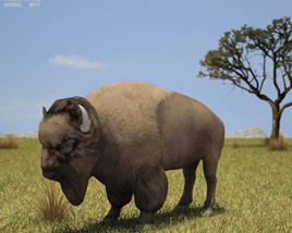 American Bison Low Poly Modelo 3d