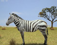 Zebra Low Poly 3d model