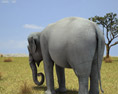Asian Elephant Low Poly 3d model