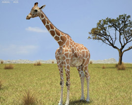 Giraffe Low Poly 3D 모델 