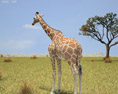 Giraffe Low Poly 3d model
