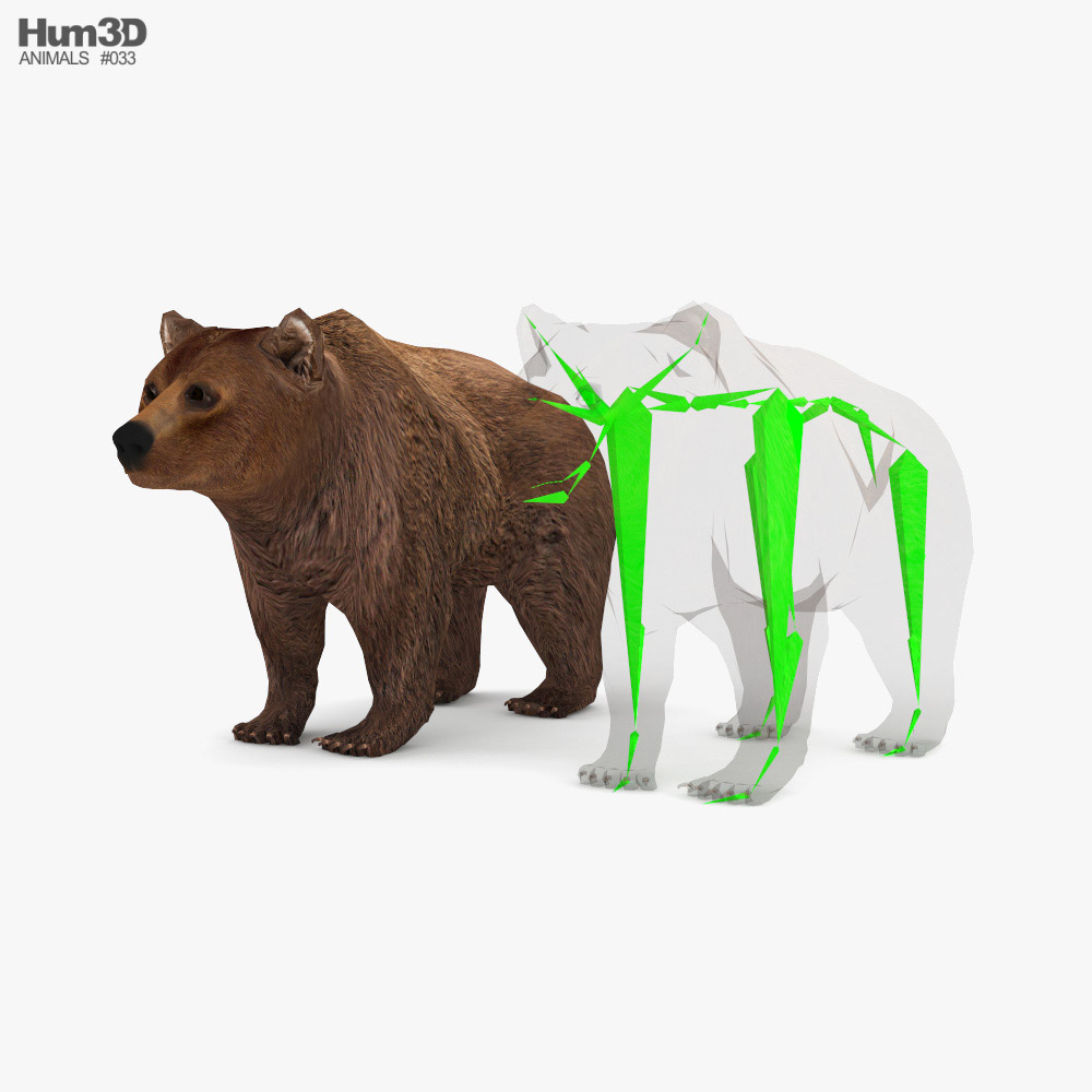 Brown Bear Low Poly Rigged 3D 모델 - 동물 on Hum3D