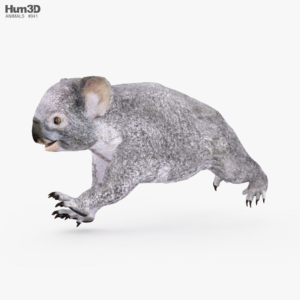 Koala Low Poly Rigged Animated 3D model