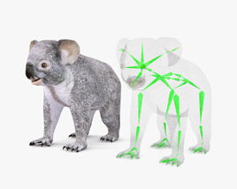 Koala Low Poly Rigged Modèle 3D