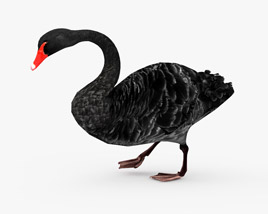 Black Swan Low Poly Rigged Animated 3D model