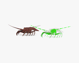 Achelata Low Poly Rigged Modelo 3D