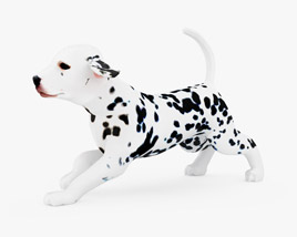 Dalmatian Puppy Low Poly Rigged Animated 3D model