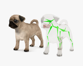 Pug Puppy Low Poly Rigged Modelo 3d